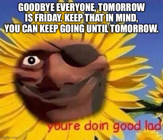 Demo sunflower | GOODBYE EVERYONE, TOMORROW IS FRIDAY. KEEP THAT IN MIND, YOU CAN KEEP GOING UNTIL TOMORROW. | image tagged in demo sunflower | made w/ Imgflip meme maker