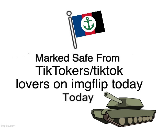 Marked safe from TikTok | TikTokers/tiktok lovers on imgflip today | image tagged in memes,marked safe from | made w/ Imgflip meme maker