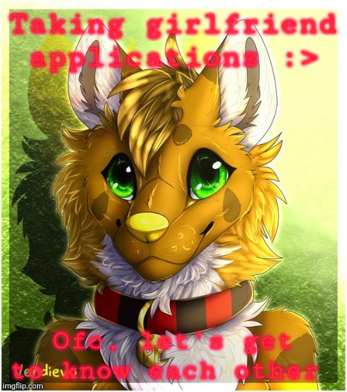 - Mags (my fursona, art by vendievo on Twitter) | Taking girlfriend applications :>; Ofc, let's get to know each other | made w/ Imgflip meme maker