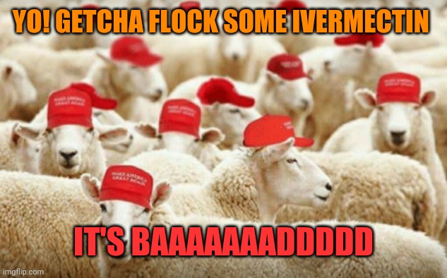 Trump sheeple | YO! GETCHA FLOCK SOME IVERMECTIN; IT'S BAAAAAAADDDDD | image tagged in trump sheeple | made w/ Imgflip meme maker