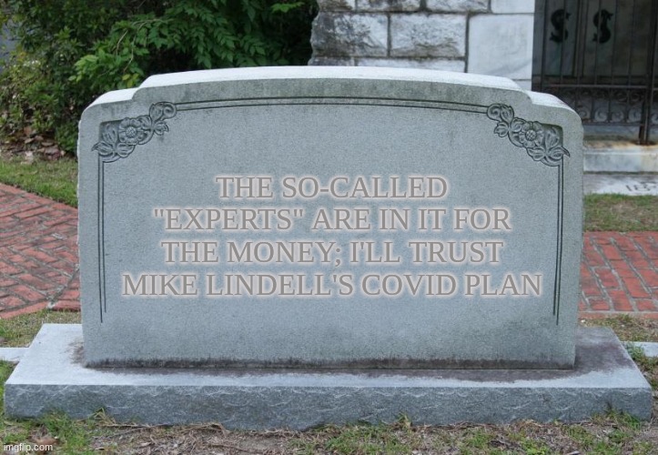 Gravestone | THE SO-CALLED "EXPERTS" ARE IN IT FOR THE MONEY; I'LL TRUST MIKE LINDELL'S COVID PLAN | image tagged in gravestone | made w/ Imgflip meme maker