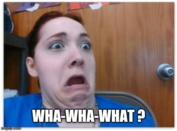 Surprised Girl | WHA-WHA-WHAT ? | image tagged in surprised girl | made w/ Imgflip meme maker