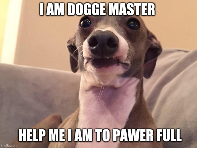 yay | I AM DOGGE MASTER; HELP ME I AM TO PAWER FULL | image tagged in cermit the dogo | made w/ Imgflip meme maker