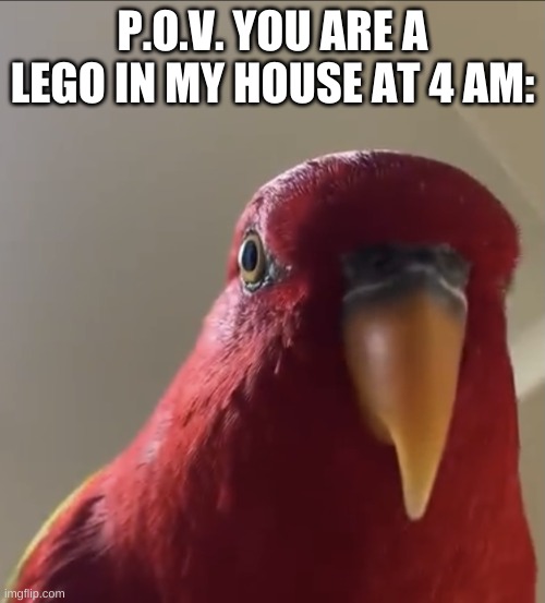 Gumi staring | P.O.V. YOU ARE A LEGO IN MY HOUSE AT 4 AM: | image tagged in gumi staring | made w/ Imgflip meme maker