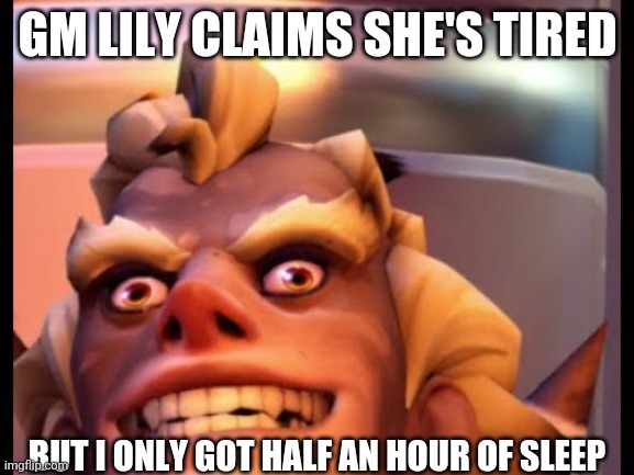 Ratjunk | GM LILY CLAIMS SHE'S TIRED; BUT I ONLY GOT HALF AN HOUR OF SLEEP | image tagged in ratjunk | made w/ Imgflip meme maker