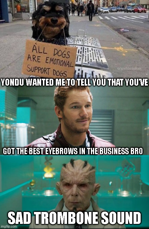 Best Eyebrows in the Business | YONDU WANTED ME TO TELL YOU THAT YOU'VE; GOT THE BEST EYEBROWS IN THE BUSINESS BRO; SAD TROMBONE SOUND | image tagged in marvel,guardians of the galaxy,eyebrows,starlord | made w/ Imgflip meme maker
