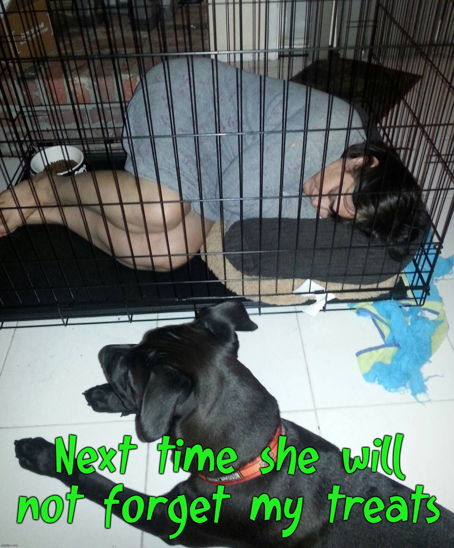 Next time she will not forget my treats | image tagged in dogs | made w/ Imgflip meme maker