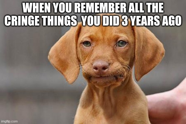 Dissapointed puppy | WHEN YOU REMEMBER ALL THE CRINGE THINGS  YOU DID 3 YEARS AGO | image tagged in dissapointed puppy | made w/ Imgflip meme maker