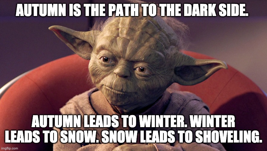 That is the Path To The Dark Side | AUTUMN IS THE PATH TO THE DARK SIDE. AUTUMN LEADS TO WINTER. WINTER LEADS TO SNOW. SNOW LEADS TO SHOVELING. | image tagged in that is the path to the dark side | made w/ Imgflip meme maker