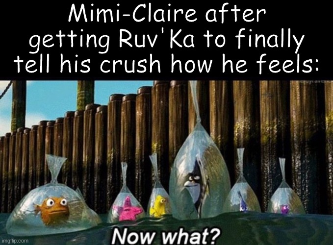 She completed her one goal, and then found herself with no reason to do anything. | Mimi-Claire after getting Ruv'Ka to finally tell his crush how he feels: | image tagged in blank black,now what | made w/ Imgflip meme maker