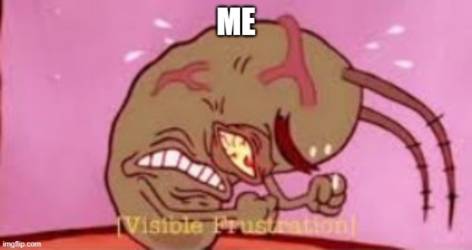 Visible Frustration | ME | image tagged in visible frustration | made w/ Imgflip meme maker