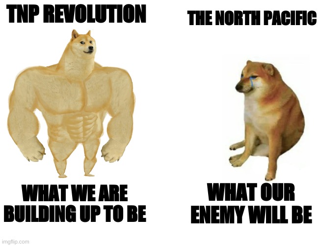 TNP Revolution | TNP REVOLUTION; THE NORTH PACIFIC; WHAT WE ARE BUILDING UP TO BE; WHAT OUR ENEMY WILL BE | image tagged in memes,buff doge vs cheems | made w/ Imgflip meme maker