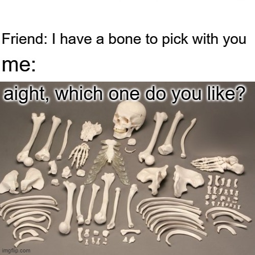 bone | Friend: I have a bone to pick with you; me:; aight, which one do you like? | image tagged in memes | made w/ Imgflip meme maker