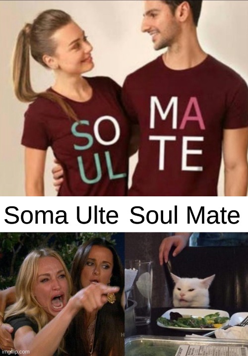 Soma Ulte; Soul Mate | image tagged in memes,woman yelling at cat | made w/ Imgflip meme maker