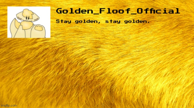 Golden floof announcement template Blank Meme Template