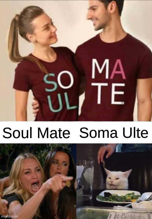 Soul Mate; Soma Ulte | image tagged in memes,woman yelling at cat | made w/ Imgflip meme maker