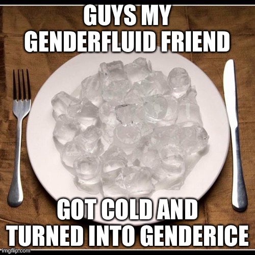 Plate of Ice Cubes | GUYS MY GENDERFLUID FRIEND; GOT COLD AND TURNED INTO GENDERICE | image tagged in plate of ice cubes | made w/ Imgflip meme maker