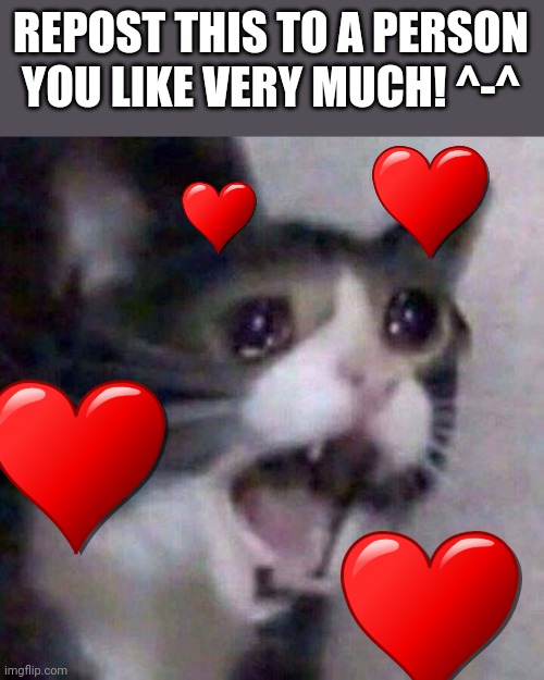 Screaming Cat meme | REPOST THIS TO A PERSON YOU LIKE VERY MUCH! ^-^ | image tagged in screaming cat meme | made w/ Imgflip meme maker