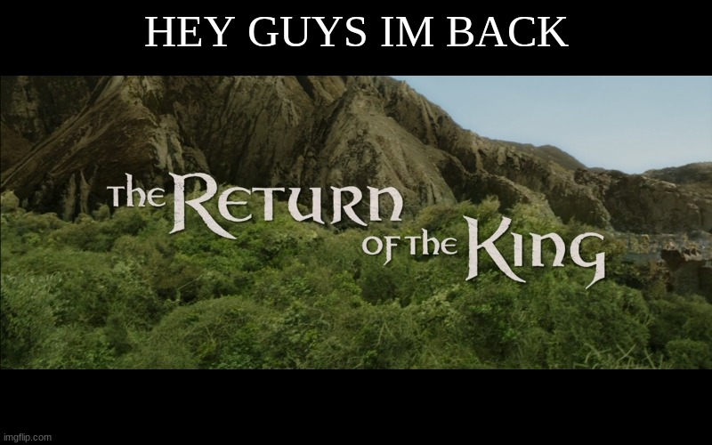 my return lol | HEY GUYS IM BACK | image tagged in return of the king | made w/ Imgflip meme maker