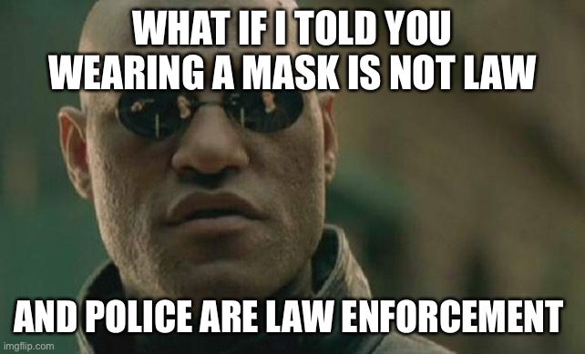 Matrix Morpheus Meme | WHAT IF I TOLD YOU WEARING A MASK IS NOT LAW AND POLICE ARE LAW ENFORCEMENT | image tagged in memes,matrix morpheus | made w/ Imgflip meme maker