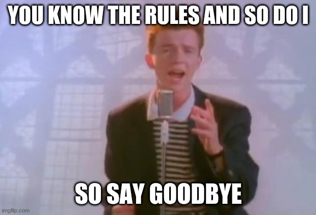 Rick Astley | YOU KNOW THE RULES AND SO DO I SO SAY GOODBYE | image tagged in rick astley | made w/ Imgflip meme maker