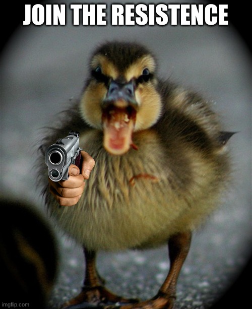 Angry Duck | JOIN THE RESISTENCE | image tagged in angry duck | made w/ Imgflip meme maker