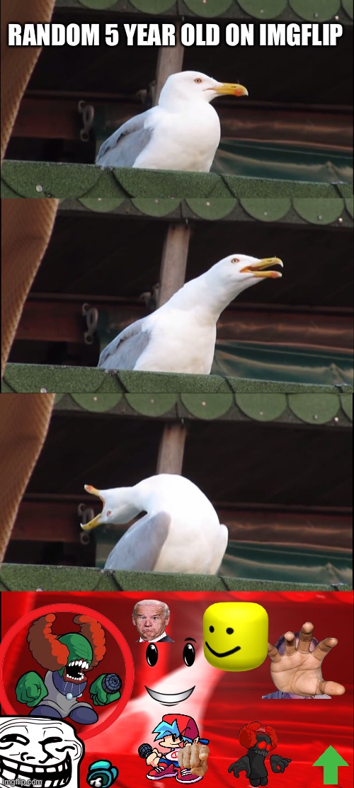 Inhaling seagull | RANDOM 5 YEAR OLD ON IMGFLIP | image tagged in memes,inhaling seagull | made w/ Imgflip meme maker