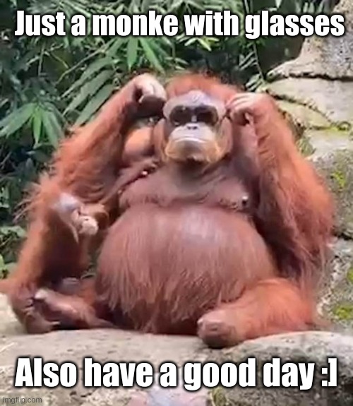Just a monke with glasses nothing else |  Just a monke with glasses; Also have a good day :] | image tagged in monkey | made w/ Imgflip meme maker