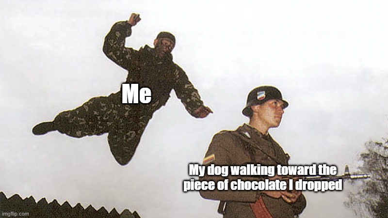 OH NO YOU DONT | Me; My dog walking toward the piece of chocolate I dropped | image tagged in soldier jump spetznaz,chocolate,dog,stop,meme,barney will eat all of your delectable biscuits | made w/ Imgflip meme maker