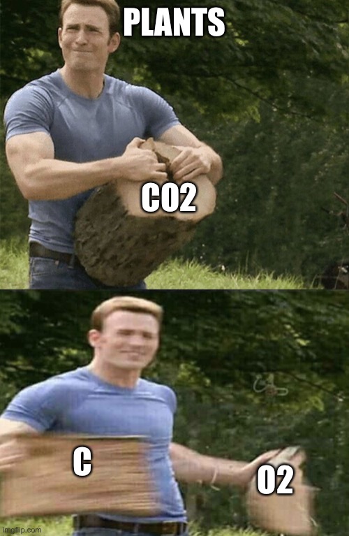 Plants | PLANTS; CO2; C; O2 | image tagged in captain america rips log in two | made w/ Imgflip meme maker