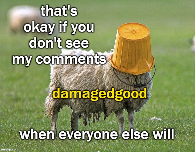 stupid sheep | that's okay if you don't see my comments damagedgood when everyone else will | image tagged in stupid sheep | made w/ Imgflip meme maker