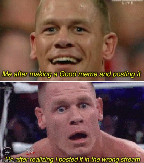 Oh no- | Me after making a Good meme and posting it; Me after realizing I posted it in the wrong stream | image tagged in john cena happy/sad | made w/ Imgflip meme maker