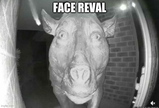 scary pig thing | FACE REVAL | image tagged in scary pig thing | made w/ Imgflip meme maker