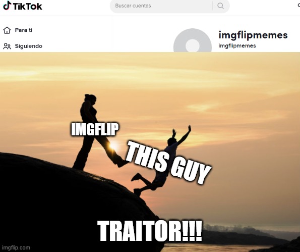  IMGFLIP; THIS GUY; TRAITOR!!! | image tagged in traitor | made w/ Imgflip meme maker