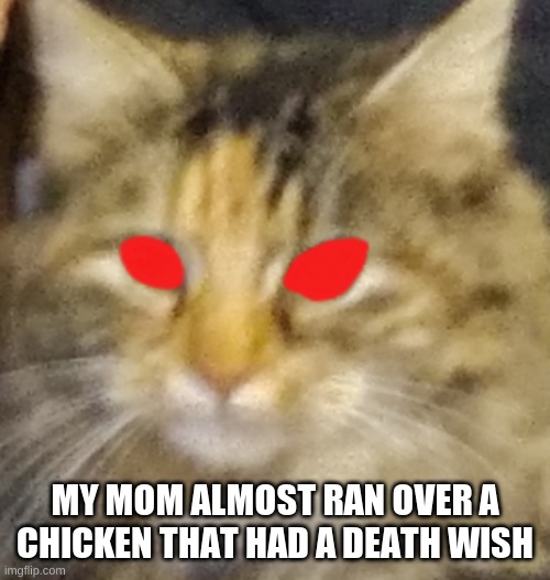 MY MOM ALMOST RAN OVER A CHICKEN THAT HAD A DEATH WISH | made w/ Imgflip meme maker