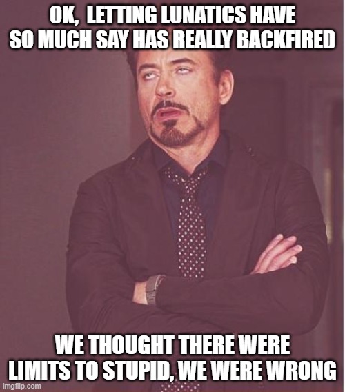 Face You Make Robert Downey Jr | OK,  LETTING LUNATICS HAVE SO MUCH SAY HAS REALLY BACKFIRED; WE THOUGHT THERE WERE LIMITS TO STUPID, WE WERE WRONG | image tagged in memes,face you make robert downey jr | made w/ Imgflip meme maker