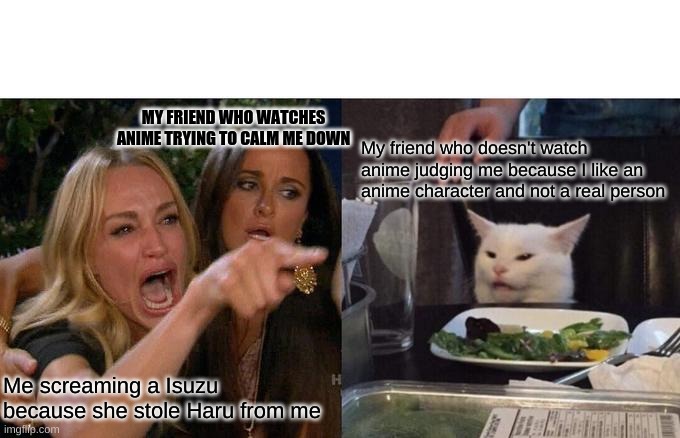 Fruits basket kind of | MY FRIEND WHO WATCHES ANIME TRYING TO CALM ME DOWN; My friend who doesn't watch anime judging me because I like an anime character and not a real person; Me screaming a Isuzu because she stole Haru from me | image tagged in memes,woman yelling at cat | made w/ Imgflip meme maker