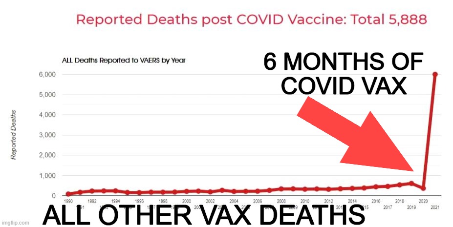 6 MONTHS OF
COVID VAX ALL OTHER VAX DEATHS | made w/ Imgflip meme maker