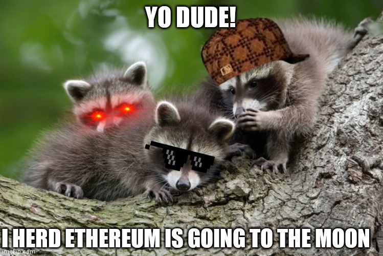 ETH fire | YO DUDE! I HERD ETHEREUM IS GOING TO THE MOON | image tagged in animals,cats,funny,party,racoon,ethereum | made w/ Imgflip meme maker