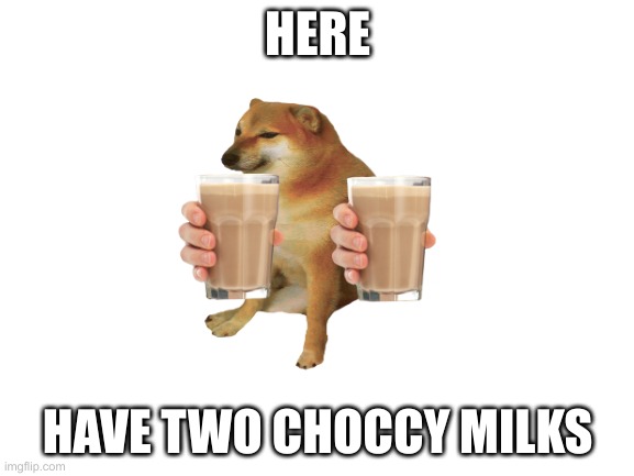 Blank White Template | HERE; HAVE TWO CHOCCY MILKS | image tagged in blank white template | made w/ Imgflip meme maker
