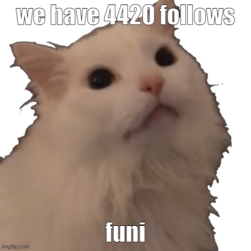 funi | we have 4420 follows; funi | made w/ Imgflip meme maker