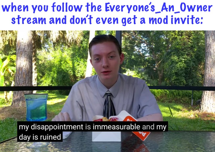 jk i don’t feel this way but i thought it would make a good meme lol | when you follow the Everyone’s_An_Owner stream and don’t even get a mod invite: | image tagged in my disappointment is immeasurable | made w/ Imgflip meme maker