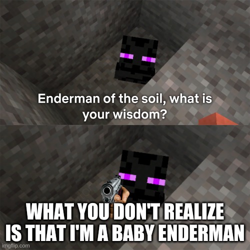 Enderman of the soil | WHAT YOU DON'T REALIZE IS THAT I'M A BABY ENDERMAN | image tagged in enderman of the soil | made w/ Imgflip meme maker