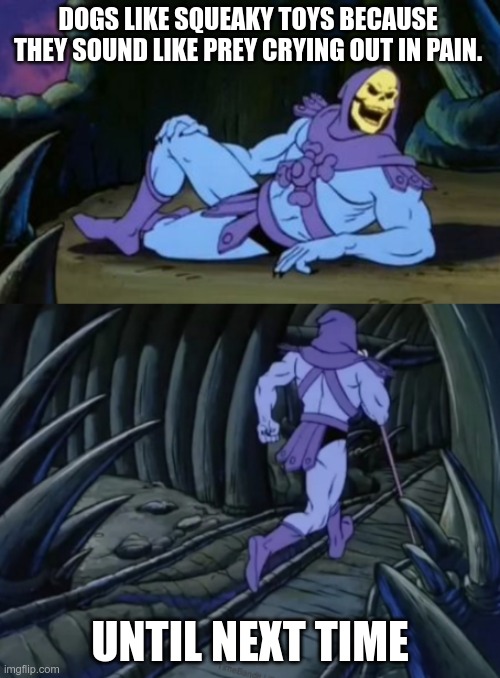 Disturbing Facts Skeletor | DOGS LIKE SQUEAKY TOYS BECAUSE THEY SOUND LIKE PREY CRYING OUT IN PAIN. UNTIL NEXT TIME | image tagged in disturbing facts skeletor | made w/ Imgflip meme maker