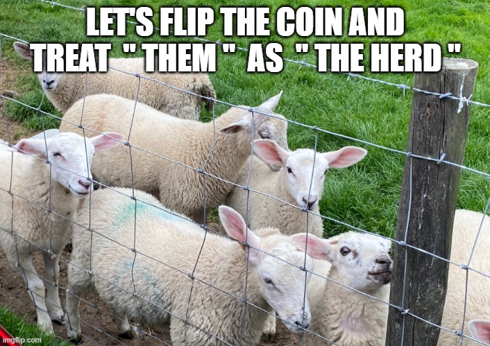 I'M GAME | LET'S FLIP THE COIN AND TREAT  " THEM "  AS  " THE HERD " | image tagged in sheep | made w/ Imgflip meme maker
