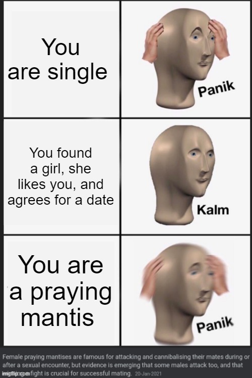 You are single; You found a girl, she likes you, and agrees for a date; You are a praying mantis | image tagged in memes,panik kalm panik,praying mantis | made w/ Imgflip meme maker