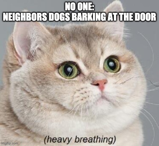 Heavy Breathing Cat | NO ONE:
NEIGHBORS DOGS BARKING AT THE DOOR | image tagged in memes,heavy breathing cat | made w/ Imgflip meme maker