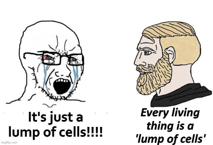 Soyboy Vs Yes Chad | Every living thing is a 'lump of cells'; It's just a lump of cells!!!! | image tagged in soyboy vs yes chad | made w/ Imgflip meme maker