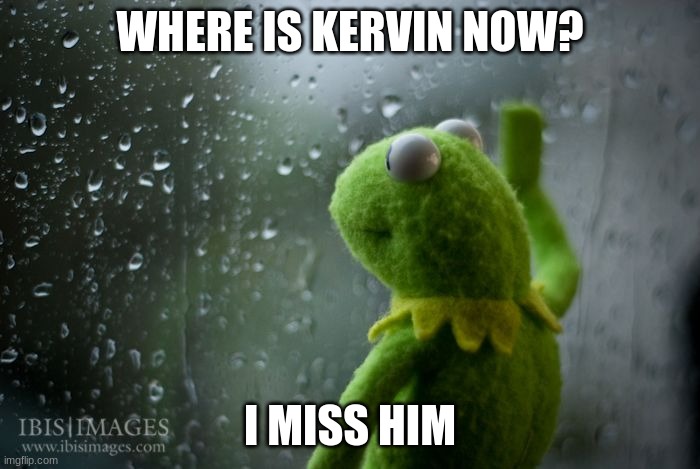 :C | WHERE IS KERVIN NOW? I MISS HIM | image tagged in kermit window | made w/ Imgflip meme maker