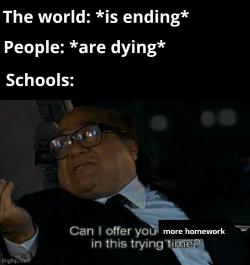 LOL schools would prolly do this tho | image tagged in school | made w/ Imgflip meme maker